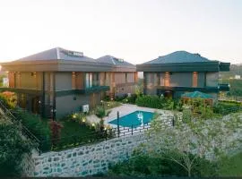 Luxury Villas