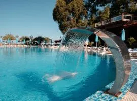 Dreamland Oasis