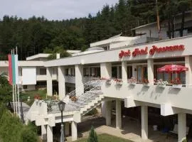 Park Hotel Panorama