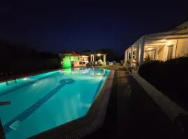 Elia Apartment Garden Oasis With Pool Astros