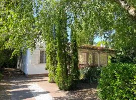 Holiday Home Kiwi by Interhome