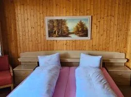 The Saxeten at alps