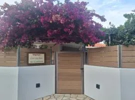 Lia's Cozy House
