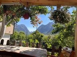 Guest House GURI