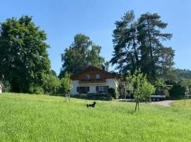 Ferienwohnung Goas-Alm