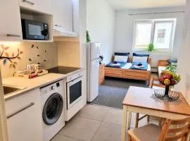 Apartmán Bystrc, Brno