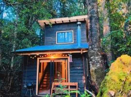 Cabaña Alto del Bosque