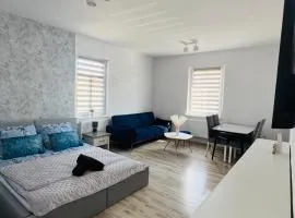 Apartament Zdrój Cieplice