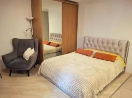 Cozy Studio in Vilnius Old Town