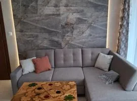 Apartament Wanda
