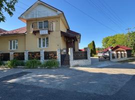 Pensiunea Anca Sapanta-primeste carduri de vacanta, hotel in Săpînţa