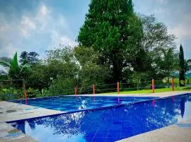 Hotel Paisaje Cafetero Con Piscina y desayuno - Filandia, Eje cafetero