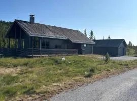 Family Cabin With Views Of Store And Lille Hødn