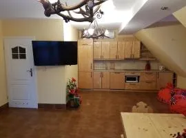Apartament Baciarski 1 ogromny z tarasem i kominkiem