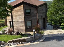 Gîte La Lanterne Location PMR Vosges avec spa, jacuzzi, vue montagne, 6 pers, hotel din Laveline-du-Houx