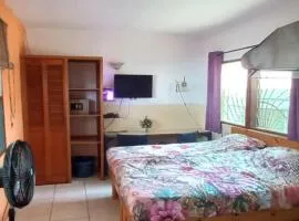 Busy Bee Apartments