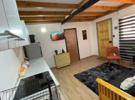 Comfortable and centrally located house in Reñaca