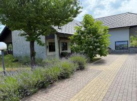 Villa Stone, hotel de luxo em Rakovica