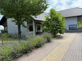 Villa Stone