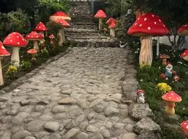 Aysu Village