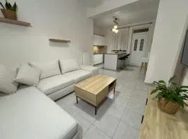 Nikolet apt 1
