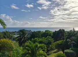 LaBelleVue Antigua Oceanview Suites and OnSite Car Rentals