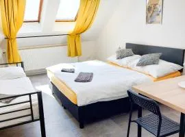 Beautiful attic room R3