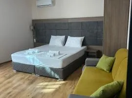 Судио Диксан