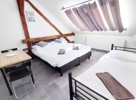 Útulný podkrovní pokoj R4 v Praze