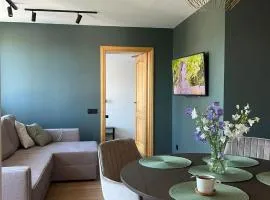 Senamiesčio tiltų apartamentai