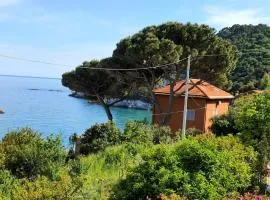 Villa Mimosa