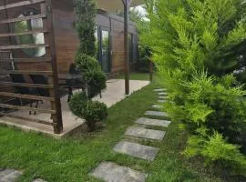 Tiny Village Mamaia Nord - House 6