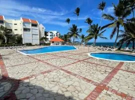 Vista palmera