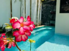 Villa Oasis deLux • Alberca privada