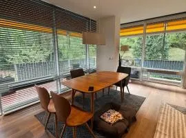 Luxury Studio near UN and Palexpo