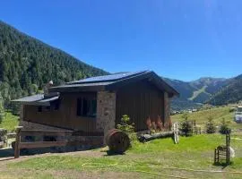 Borda Martí 2, Chalet de montaña en la Vall d'Incles HUT1-08521