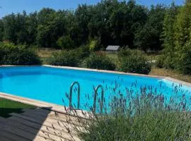 Mas des Lavandes avec vue & Piscine en Provence, 15 min des gorges du Verdon VAR