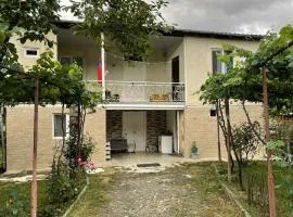 Guest House in Racha Almagi