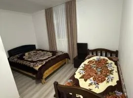 Mamukas Guest house in Racha