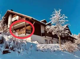 Aotearoa - Mountain apartment in Bavaria, Mitterdorf - Mitterfirmiansreut