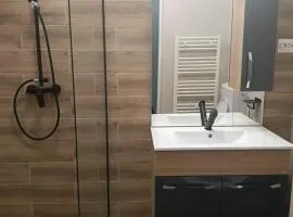 Spital 1 cameră studio