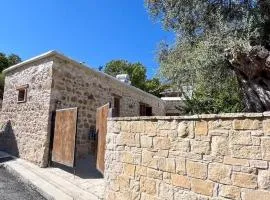 Cozy stone house