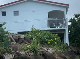 Les douceurs de la Baie
