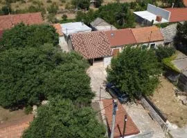 Apartments with parking space Konjevrate, Krka - 24487