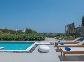 Luxury Paros Villa Master Villa Sea View Private Pool 3 Bdr Tserdakia