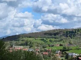 Gîte familial à La Croix-aux-Mines avec entrée privative - FR-1-589-826