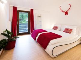 W & S Executive Apartments - Hallstatt I, self catering accommodation in Hallstatt