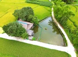 Mộc mạc nhà sàn