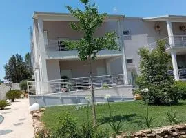 L'ulivo D'oro