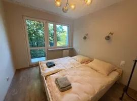 Albert self check-in free parking